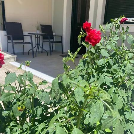 Appartement Rhea's